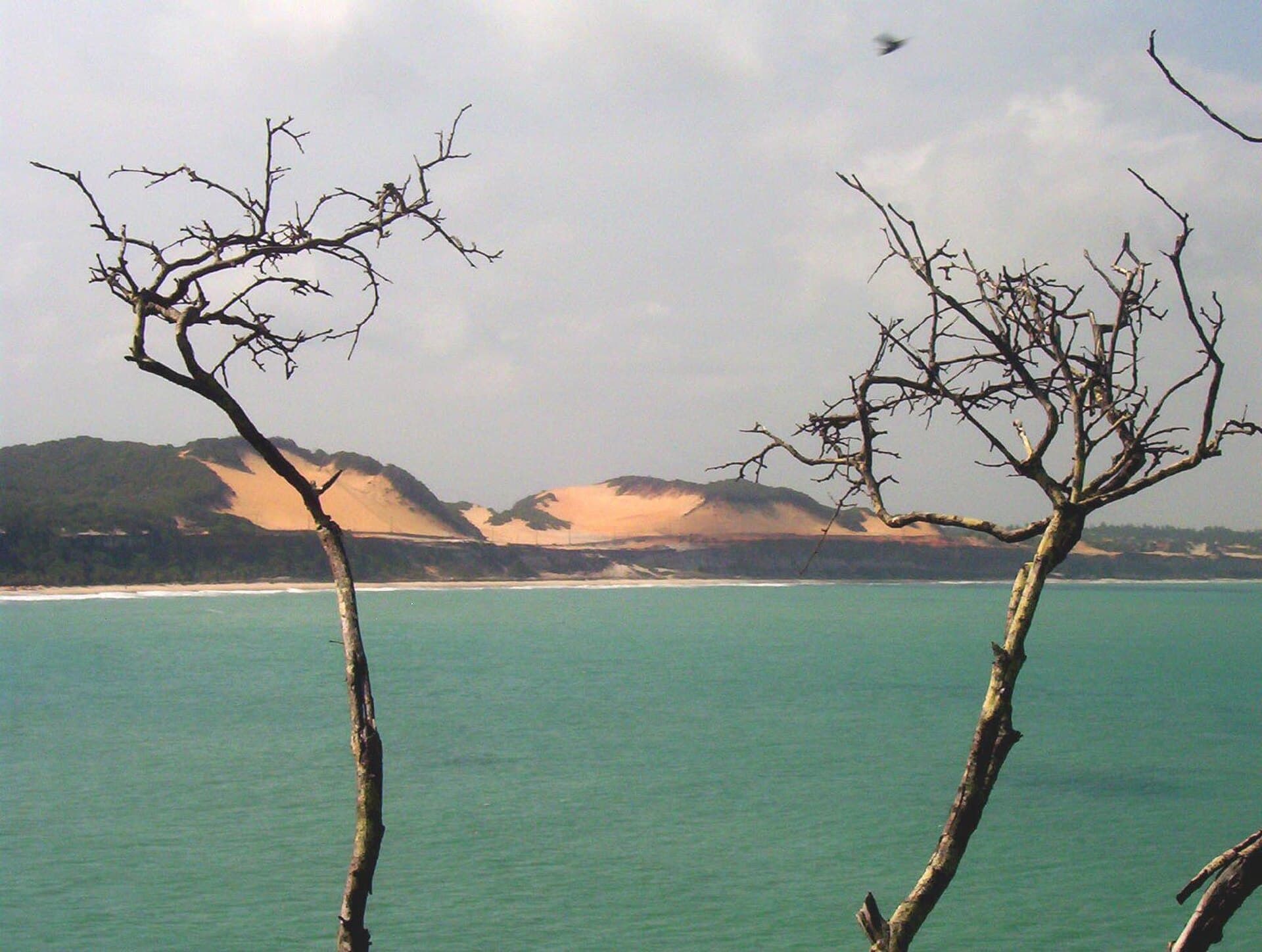 Pipa Beach in Natal, Brazil.