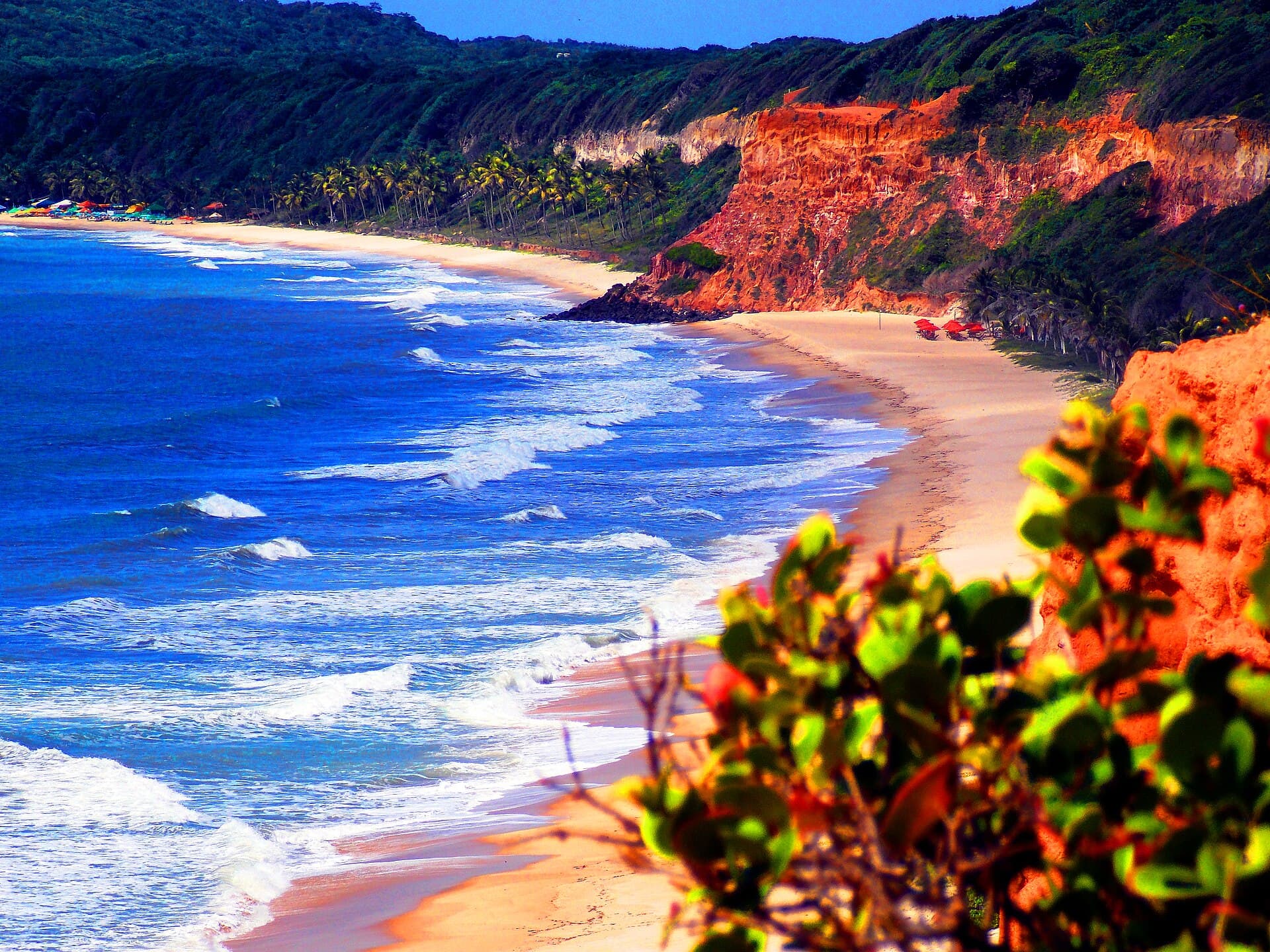 Brazil Natural Resources, Fauna and places